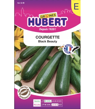 Courgette Black Beauty format ECO