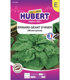 Epinard Géant d'hiver Format ECO