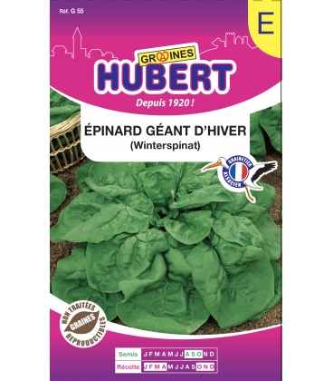 Epinard G&eacute;ant d'hiver Format ECO