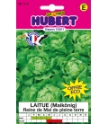 Laitue Reine de Mai Hâtive format ECO