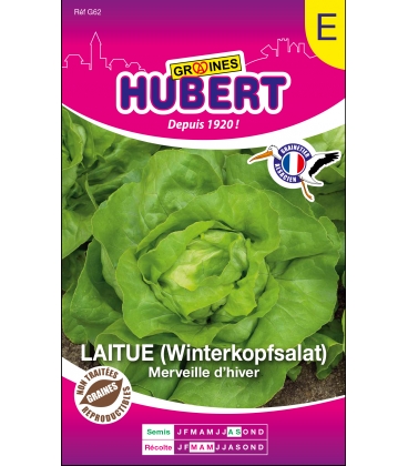 Laitue d'Hiver Format ECO