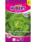 Laitue Merveille d'Hiver Format ECO