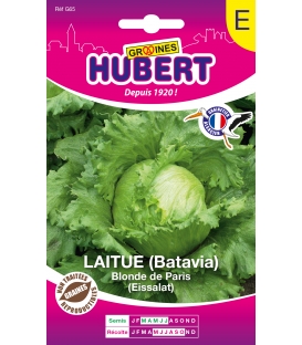 Batavia Blonde de Paris Format ECO