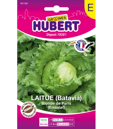 Batavia Blonde de Paris Format ECO