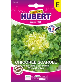 Chicor&eacute;e Scarole Ronde Verte &agrave; Coeur Plein ECO
