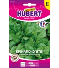 Epinard d'été Monstrueux de Viroflay