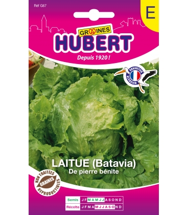 Batavia de Pierre B&eacute;nite Format ECO