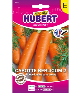 Carotte Berlicum 2 Longue sans Coeur Format ECO