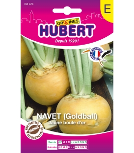 Navet Jaune Boule d'or - Golball Format ECO