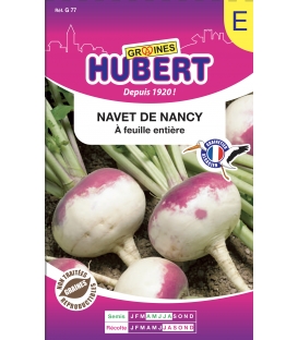Navet de Nancy à Feuille Entière Format ECO