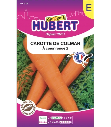 Carotte de Colmar Longue Tardive Format ECO