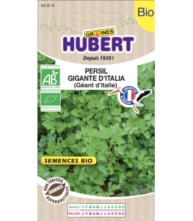 Graines de Persil commun G&eacute;ant d'Italie BIO
