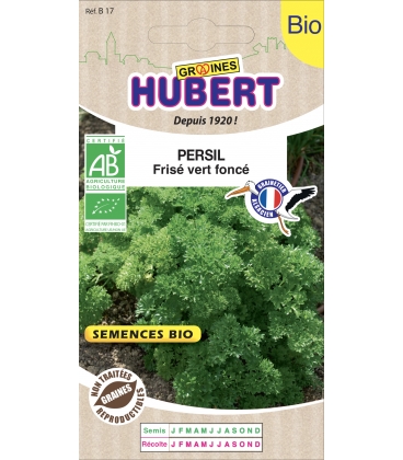 Persil Fris&eacute; Vert Fonc&eacute; BIO