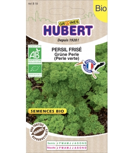 Persil Fris&eacute; Gr&uuml;ne Perle BIO