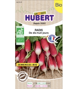 Radis de 18 jours BIO