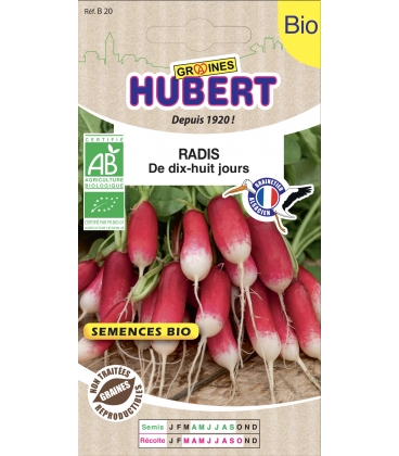Radis de 18 jours BIO