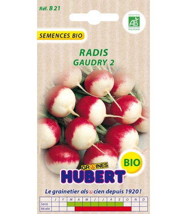 Radis Gaudry  2 BIO