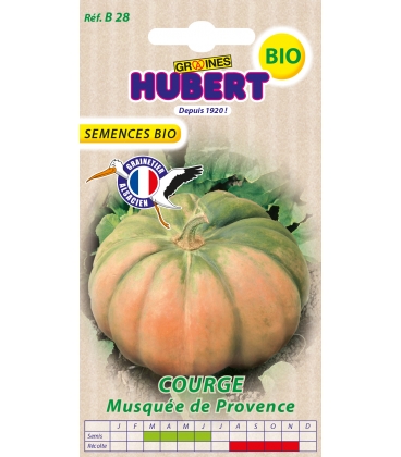 Courge Musqu&eacute;e de Provence BIO