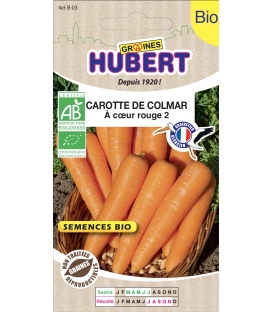 Carotte de Colmar BIO