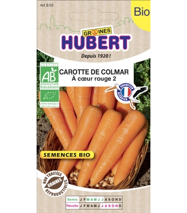 Carotte de Colmar BIO