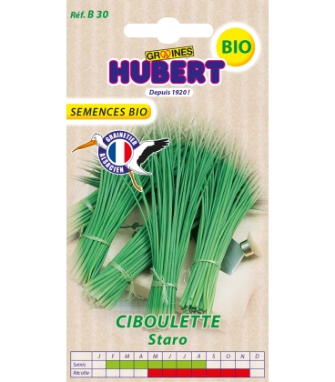 Ciboulette Staro BIO