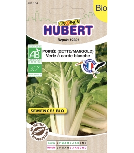 Poirée Verte à Carde Blanche BIO