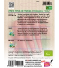 Radis Rose de Pâques 2 - Ostergruss Rosa 2 BIO