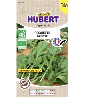 Roquette Cultivée (Rauke) BIO