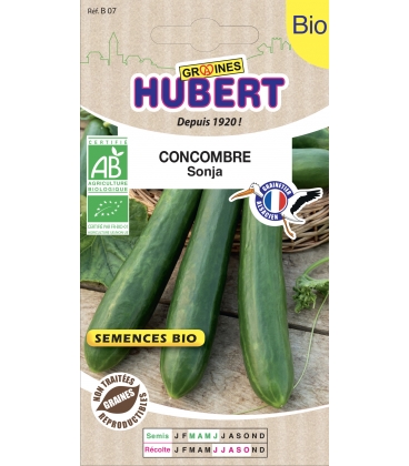 Concombre Sonja BIO