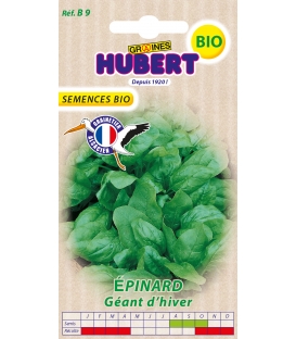 Epinard Géant d'Hiver BIO