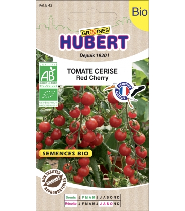 Tomate Cerise Red Cherry BIO