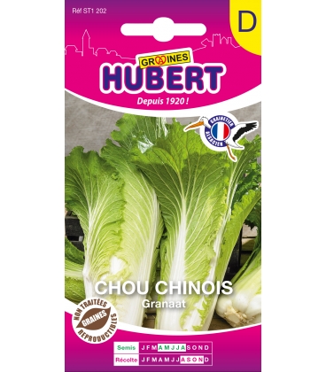 Chou Chinois Granaat