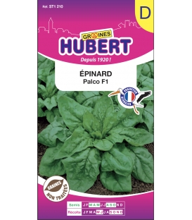 Epinard Palco F1