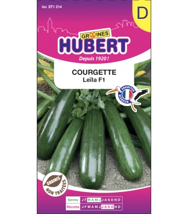 Courgette Leila F1 - Non Coureuse