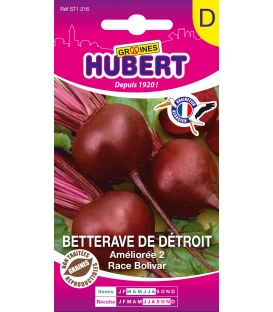Betterave de D&eacute;troit am&eacute;lior&eacute;e 2 race Bolivar