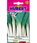 Poireau Géant Précoce Race Major ©Images protégées téléchargement interdit !