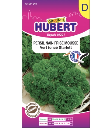 Persil Fris&eacute; Starlett