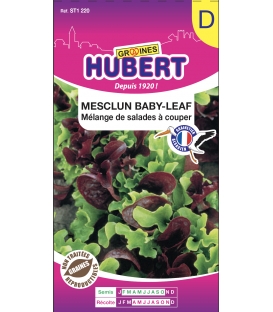 Mesclun Baby-Leaf Avec Roquette