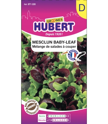 Mesclun Baby-Leaf Avec Roquette