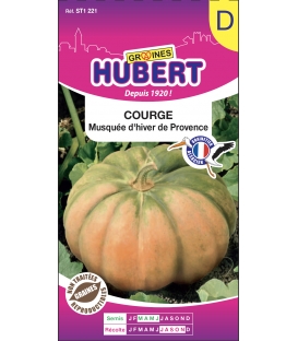 Courge Musquée d'Hiver de Provence