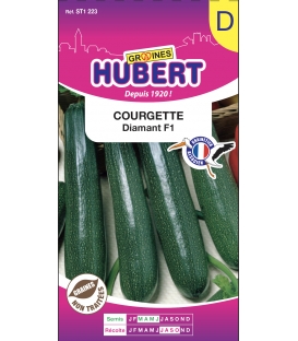 Courgette Diamant F1