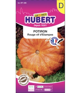 Potiron Rouge Vif d'Etampes