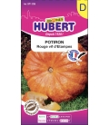 Potiron Rouge Vif d'Etampes