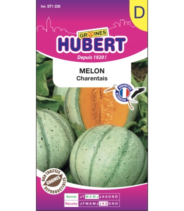 Melon Charentais