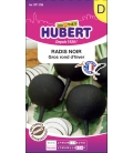 Radis Noir Rond d'Hiver