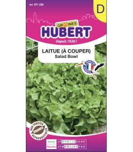 Laitue Salad Bowl &agrave; Couper
