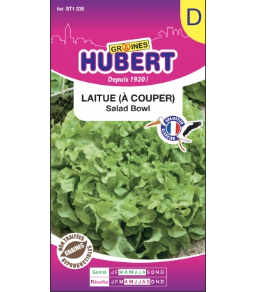 Laitue Salad Bowl &agrave; Couper