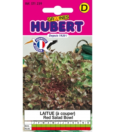 Laitue &agrave; Couper Red Salad Bowl