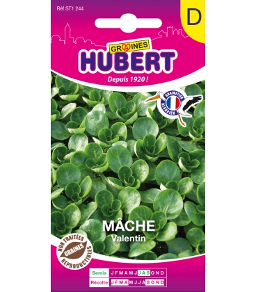 M&acirc;che Valentin