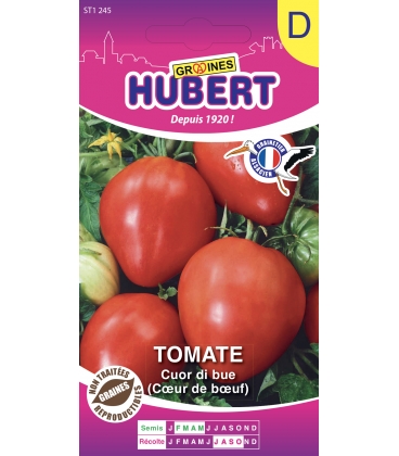 Tomate Cuor Di Bue (Coeur de Boeuf)